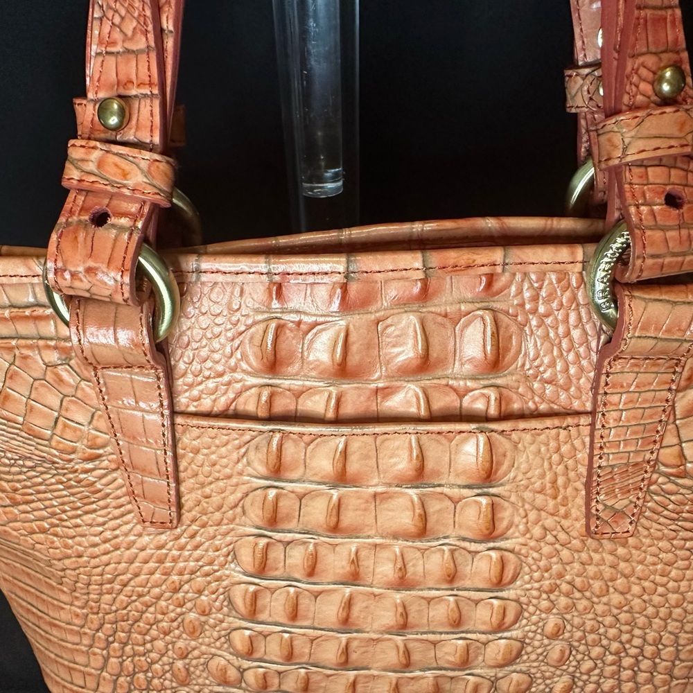 Brahmin Vintage Mini Asher Tulle Coral Melbourne RARE - Picture 4 of 10